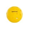 Basic Pickleball Ball